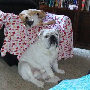 Meet your Posher, Margarita